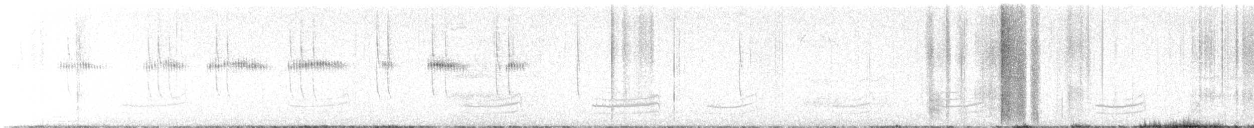 Broad-tailed Hummingbird - ML617845479