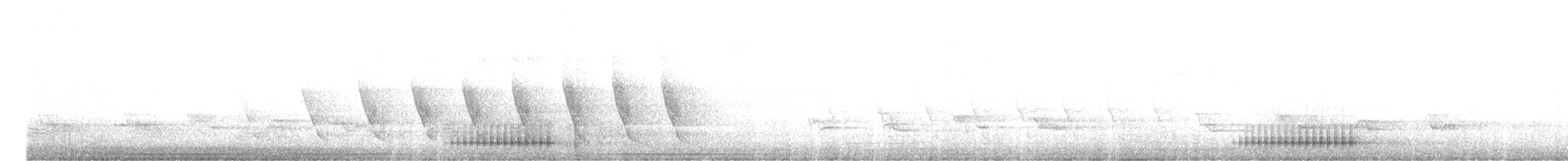 Hairy Woodpecker - ML617849157