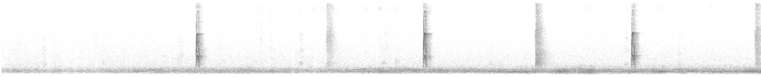 strakapoud proužkohřbetý - ML617850789