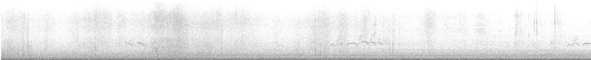 Kara Karınlı Islıkçı Ördek - ML617850797