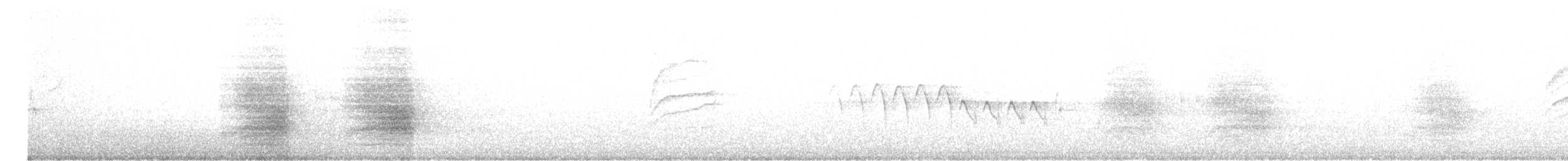 furuskrike (diademata gr.) - ML617851320