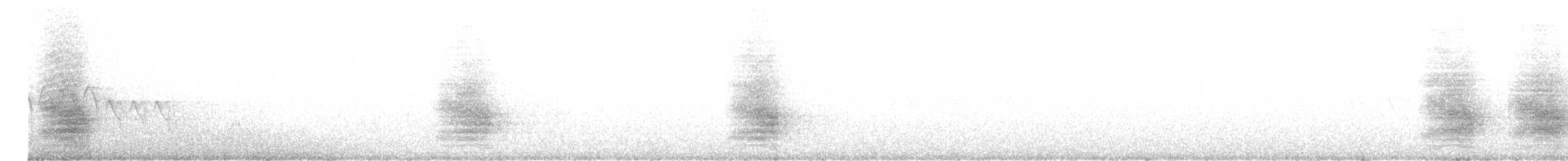 Steller Kargası [diademata grubu] - ML617851340