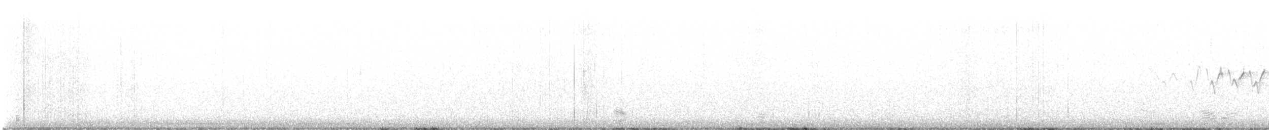 Yellow-rumped Warbler - ML617851759