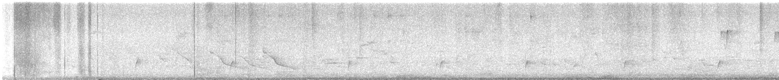 Дрізд-короткодзьоб Cвенсона - ML617851761