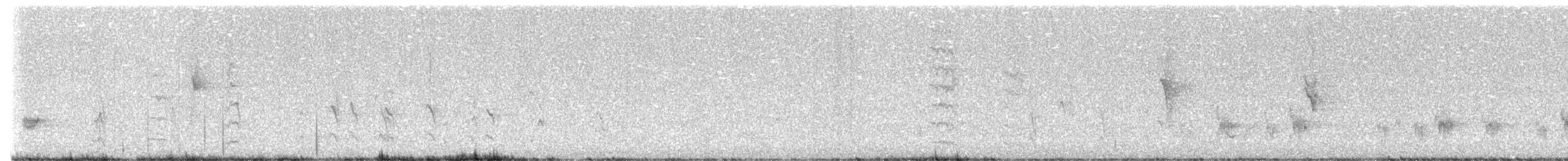 svarthakehonningeter - ML617851922