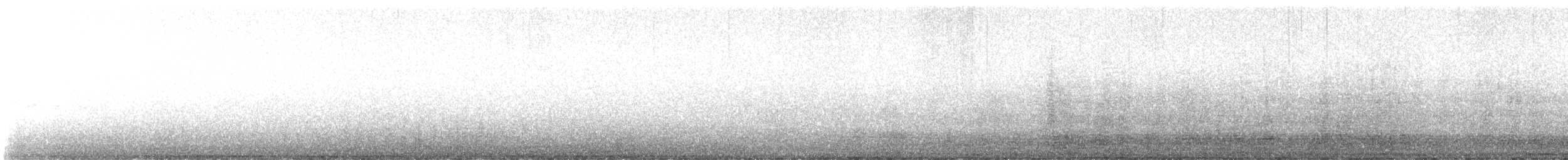 rorýs bělohrdlý - ML617853893