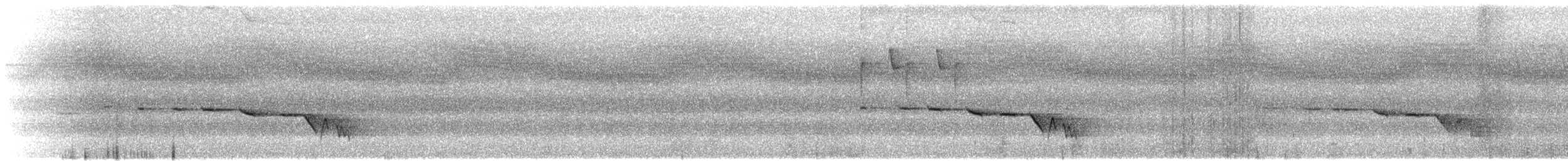 Gray-bellied Tesia - ML617858462