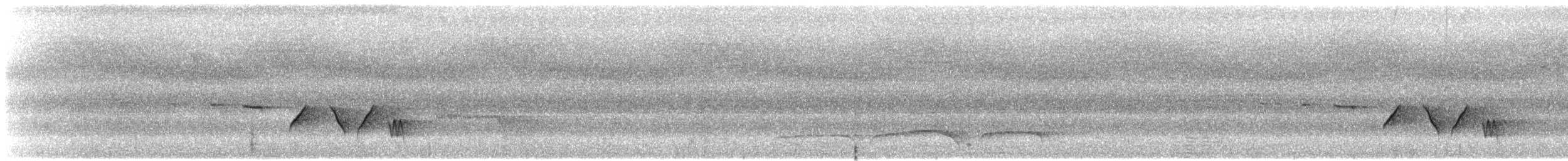 Gray-bellied Tesia - ML617858464