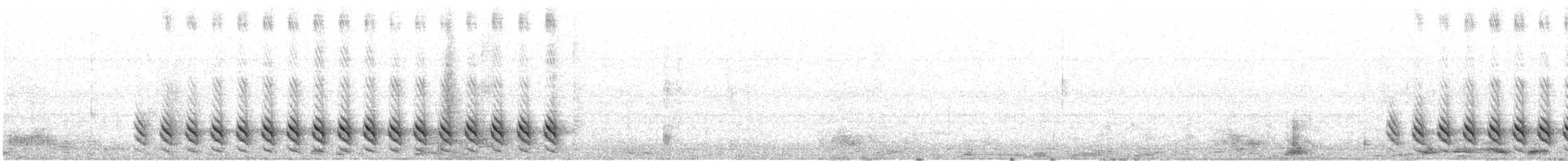 White-breasted Nuthatch (Interior West) - ML617859086