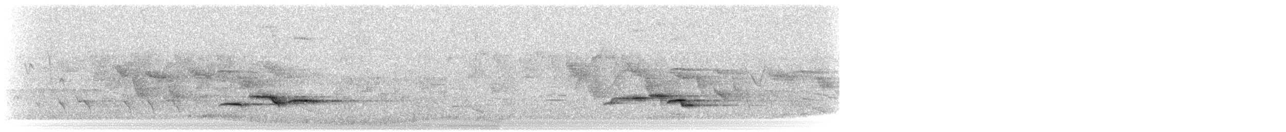 オグロコンヒタキ - ML617859767