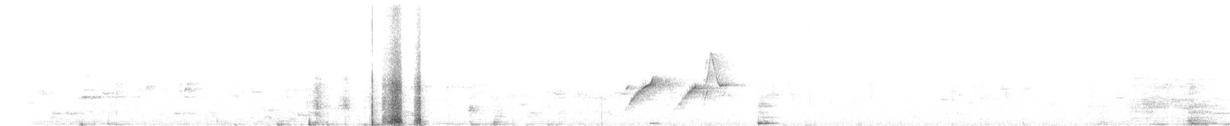 Weißbrauenstelze - ML617860318