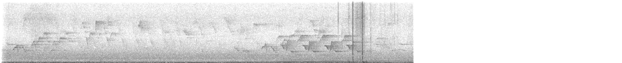 Дрізд-короткодзьоб Cвенсона - ML617861991