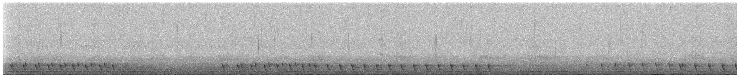 Gray Nightjar - ML617862461