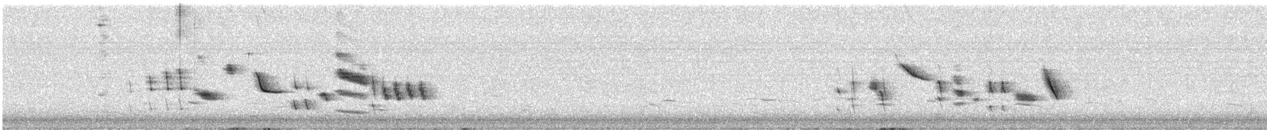 Txoka arrunta - ML617867803