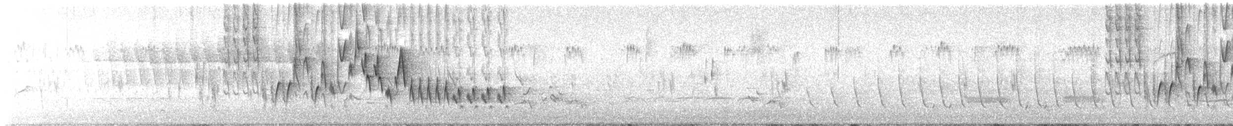 Northern House Wren - ML617868580