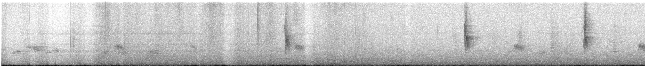 Pouillot de Tickell - ML617870979