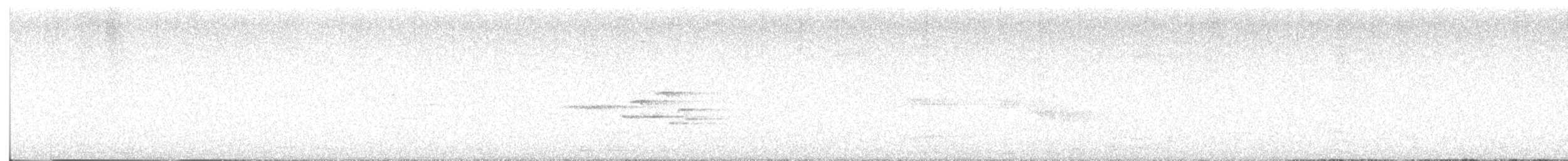 Белохвостая индига - ML617871227