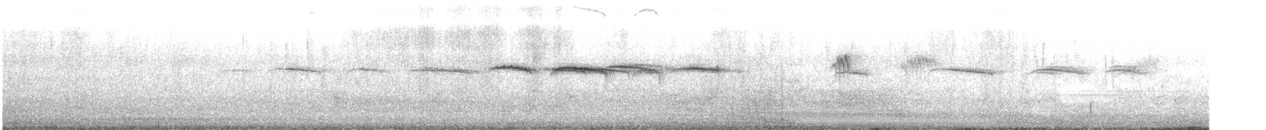 Buztanori japoniarra - ML617871780