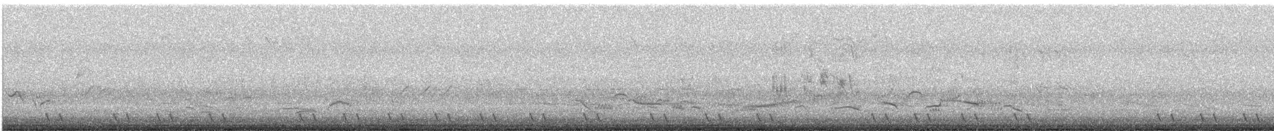 Red-necked Nightjar - ML617871990
