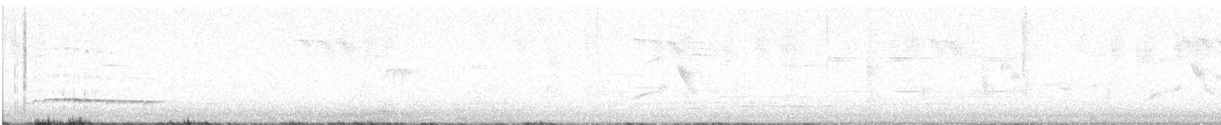 koliha malá (ssp. phaeopus) - ML617875578