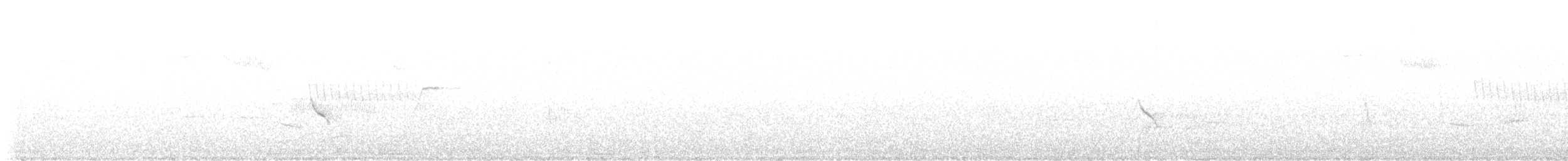 Evening Grosbeak (type 1) - ML617879516