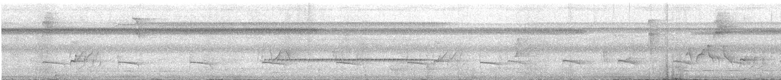 Sclater's Antwren - ML617880730