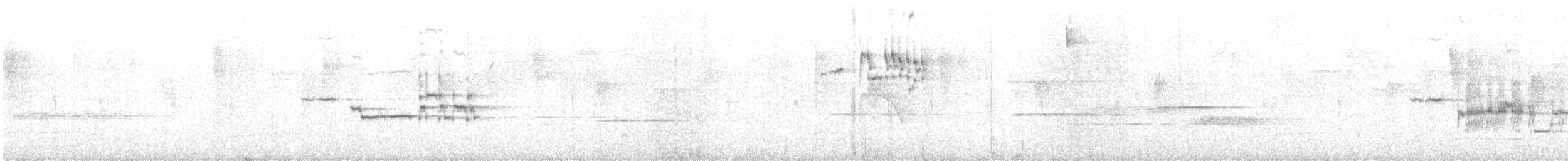 Black-billed Nightingale-Thrush - ML617880771