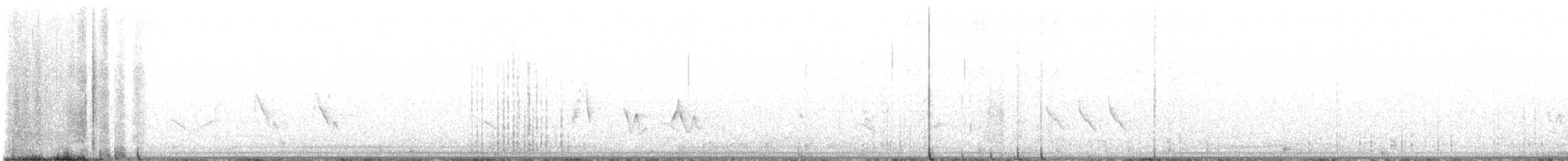 Black-whiskered Vireo - ML617880889