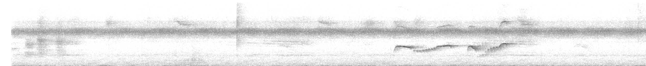 Corythopis de Delalande - ML617881757