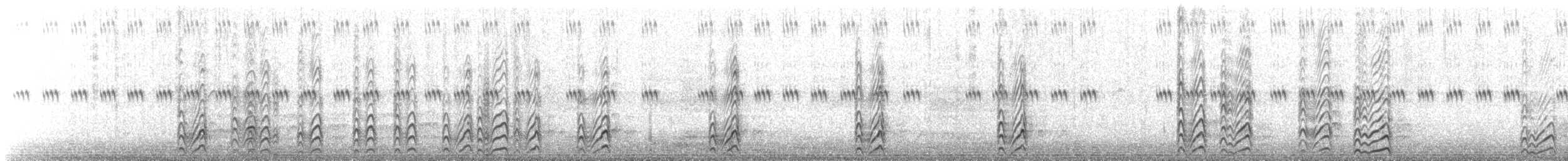 שחפית עבת-מקור - ML617882318