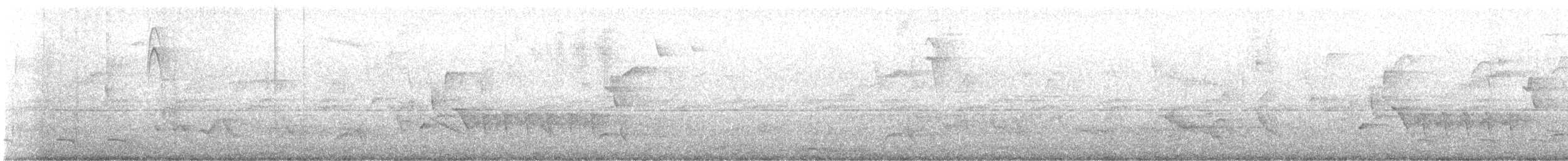 Trogon rosalba - ML617885019