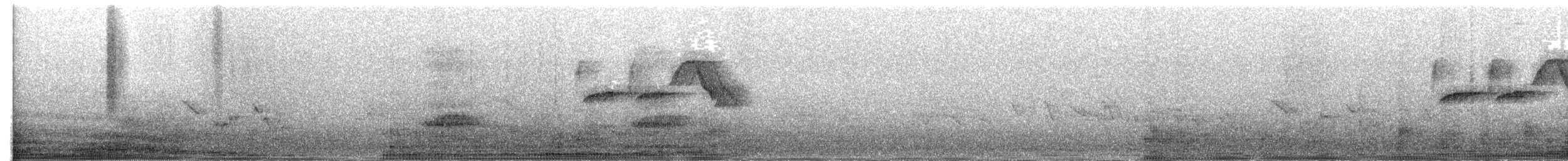 Длиннохвостый крапивник [группа mexicanus] - ML617885175