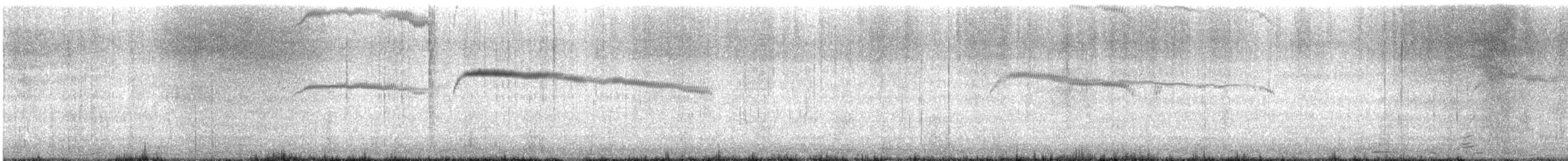 alkoun holubí - ML617885630