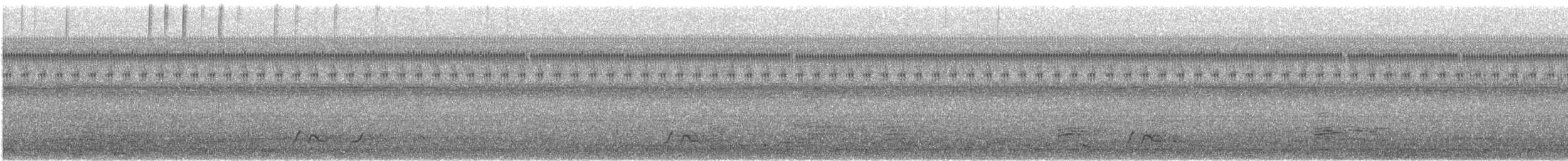Chuck-will's-widow - ML617885787