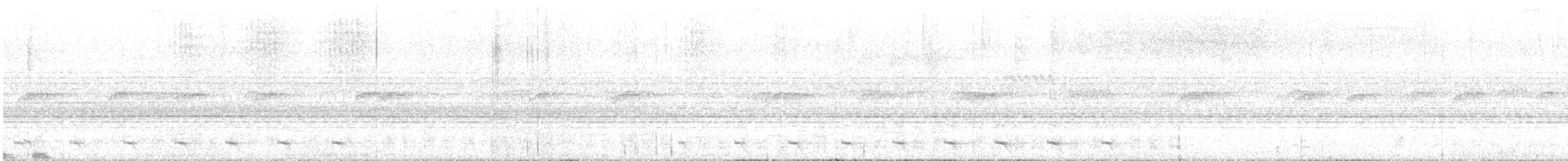 Trogon à queue blanche - ML617893682