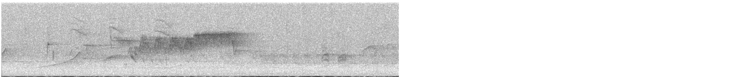 Cerulean Warbler - ML617895445