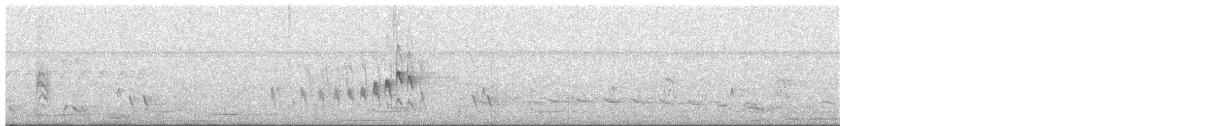 Mouse-colored Tyrannulet (Northern) - ML617897045