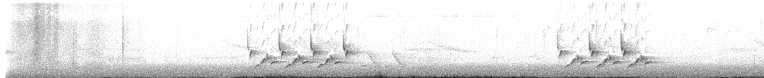 Поплітник каролінський - ML617897757