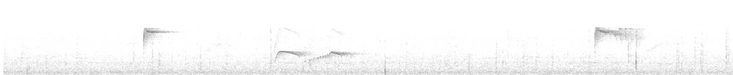 Atlantik Karınca Tiranı - ML617897772