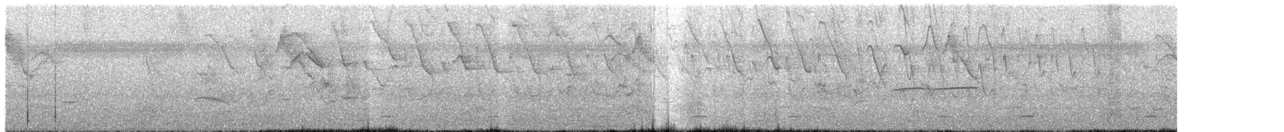 Gelbbürzel-Attilatyrann - ML617898683