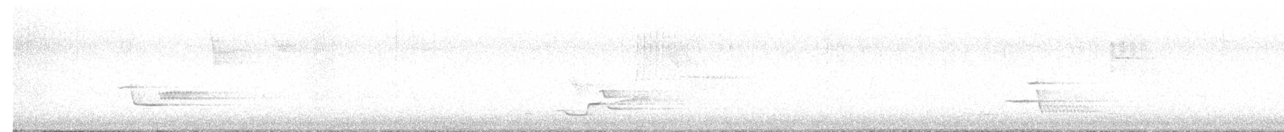 Wood Thrush - ML617902439
