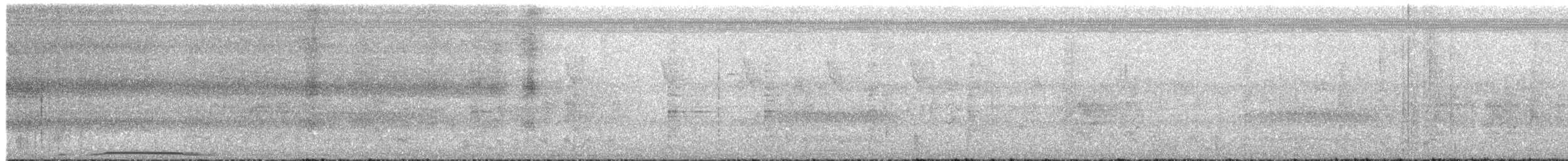 holub neotropický - ML617902513