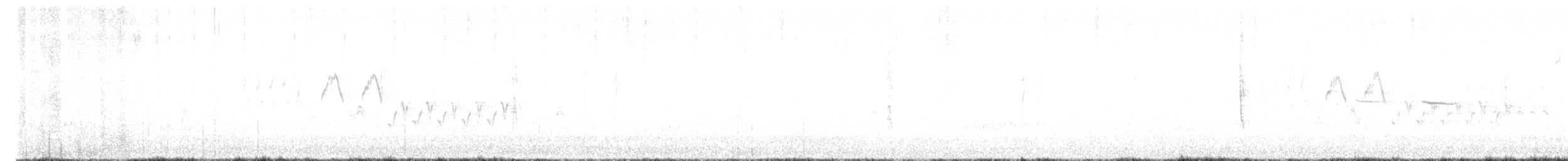 revespurv (schistacea gr.) (skiferrevespurv) - ML617904272