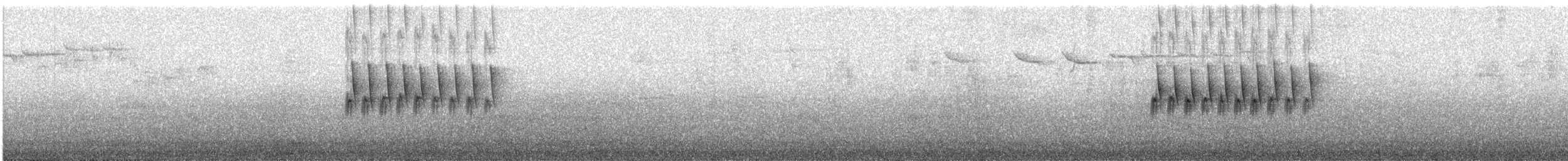 Spotted Towhee (oregonus Group) - ML617905829