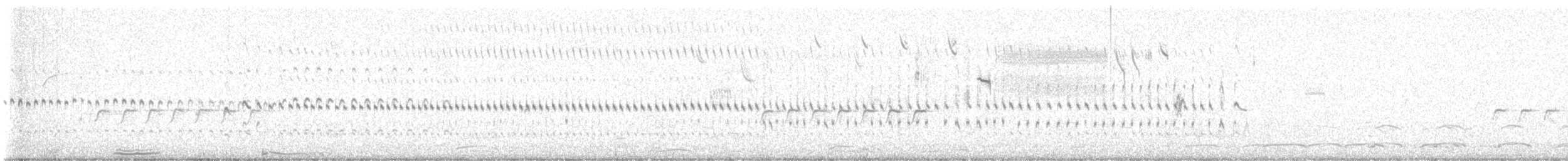 Chorlitejo Culirrojo - ML617906459