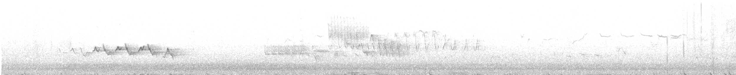 Чернітка білокрила - ML617909619