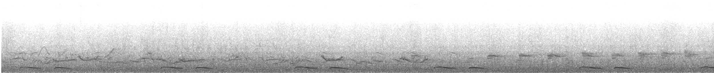 holoubek mexický - ML617910324