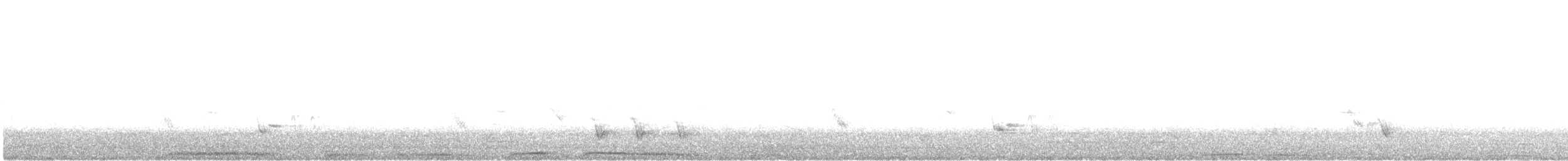 holub hřivnáč - ML617911727