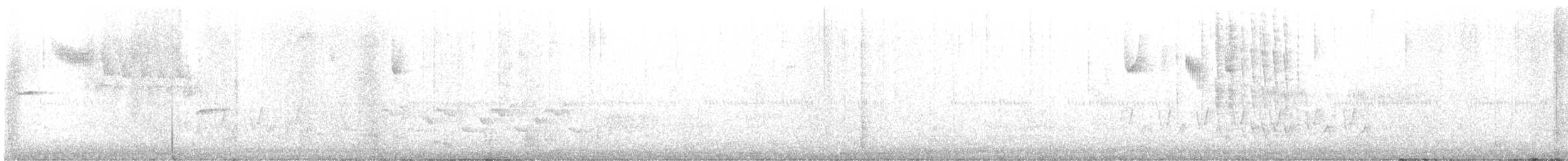 Kara Boğazlı Kolibri - ML617917836