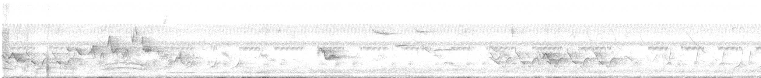 Индийский павлин (Одомашенного вида) - ML617921421